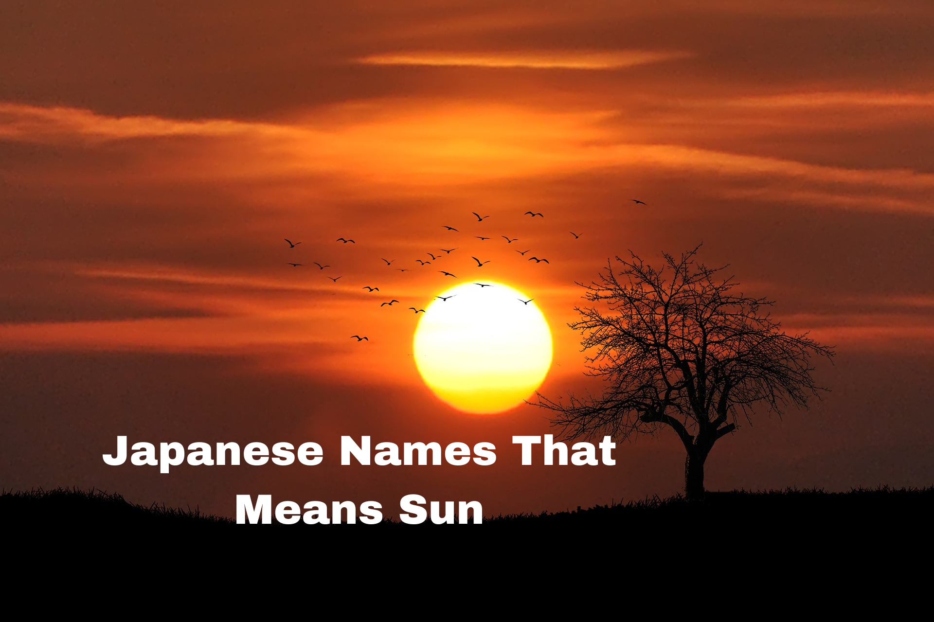 Japanese Names That Mean Sun