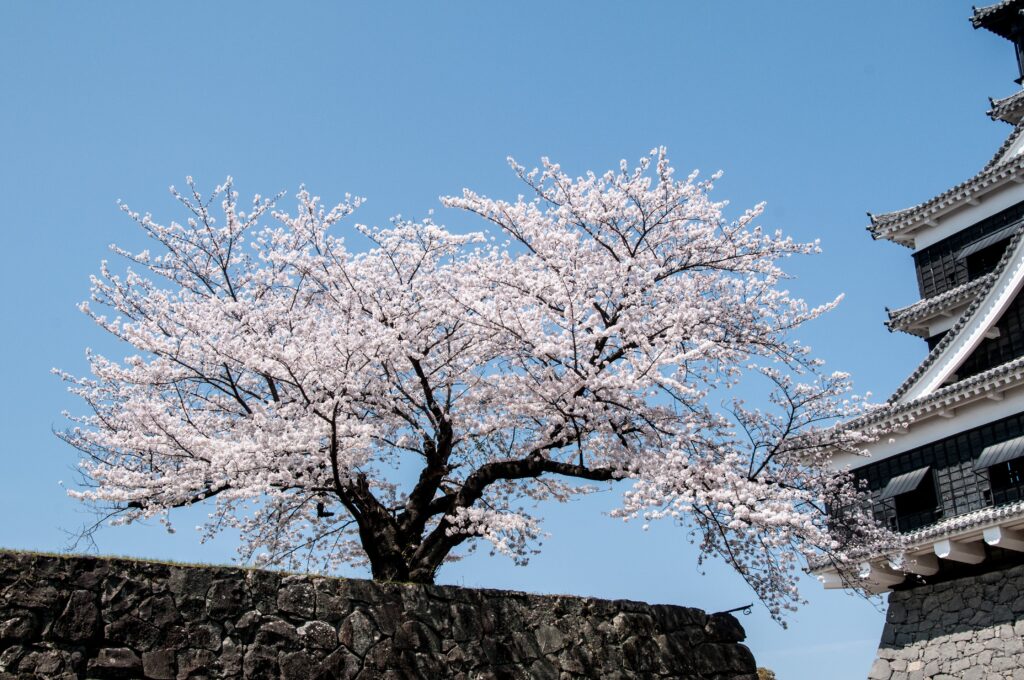 Japanese names related to spring for boys