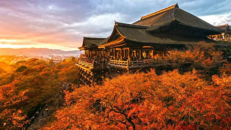 Japanese Autumn Season